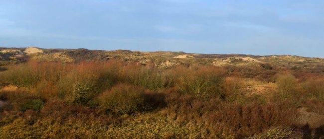 Duinen bij Katwijk