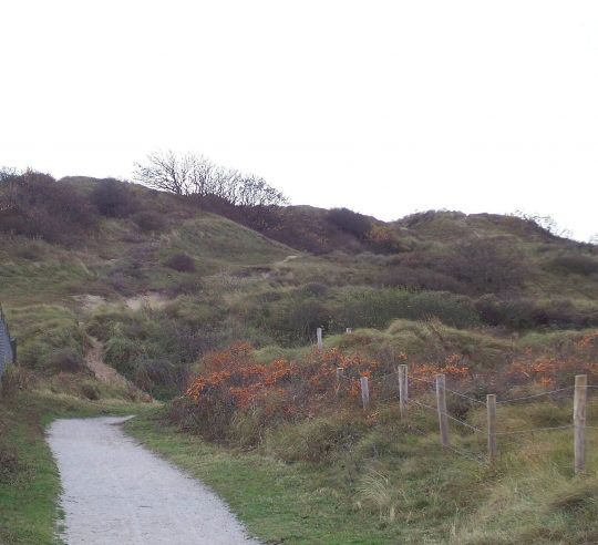 Duinen bij Katwijk