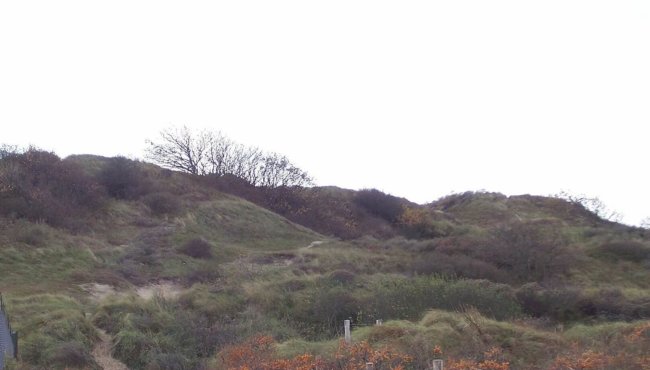 Duinen bij Katwijk
