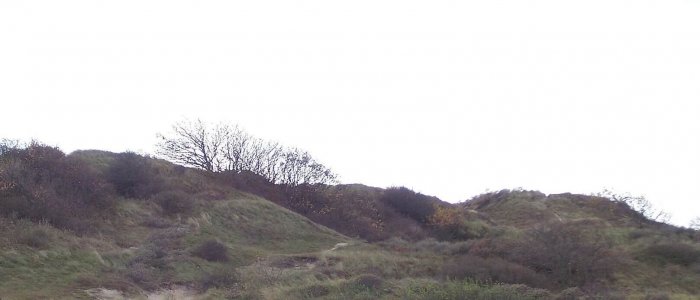 Duinen bij Katwijk