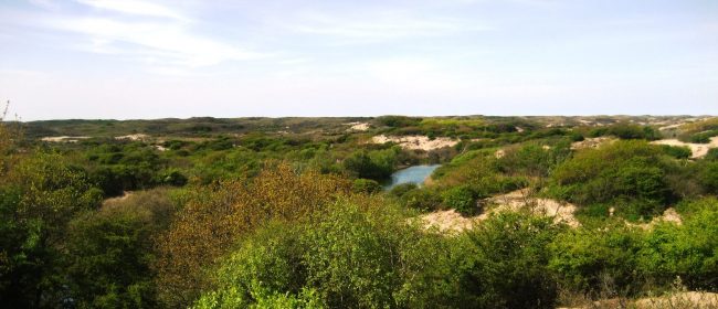 Duinen bij ganzenhoek met meertje