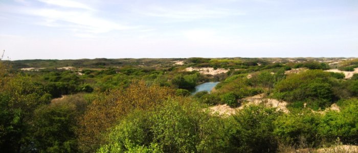 Duinen bij ganzenhoek met meertje