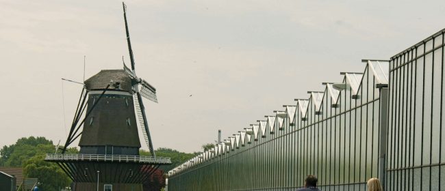 Kassencomplex voor glastuinbouw met kanaal en historische molen, en een familie op de fiets