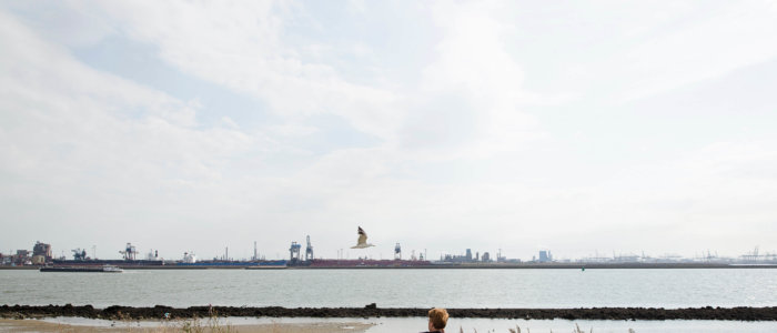 Vrouw in rolstoel op de boulevard Hoek van Holland