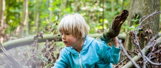 Een jongen struint door het bos