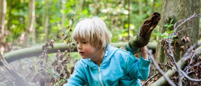 Een jongen struint door het bos