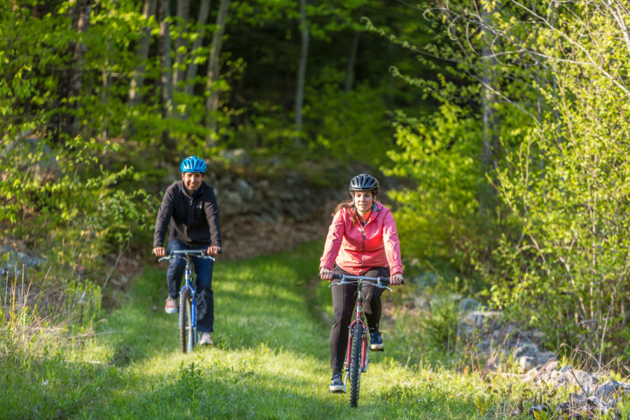 Twee fietsers in het bos