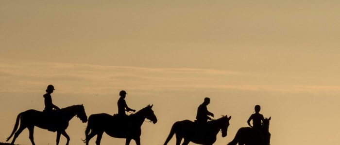 paarden op het strand bij zonsondergang
