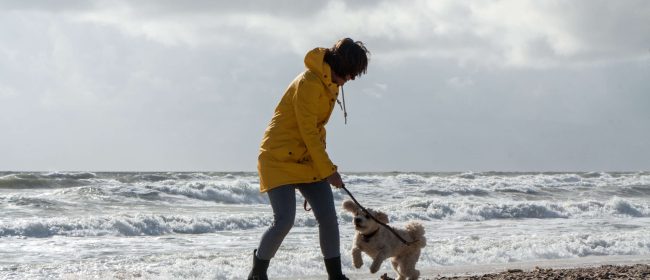 Vrouw met hond op strand