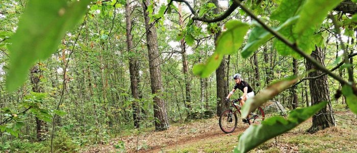 Man op mountainbike in het bos