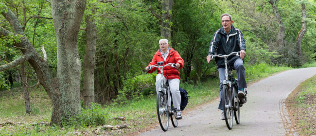 Fietsers in de duinen