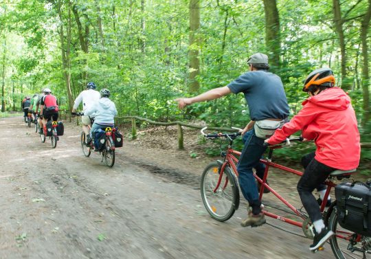 Mensen op tandems in het bos