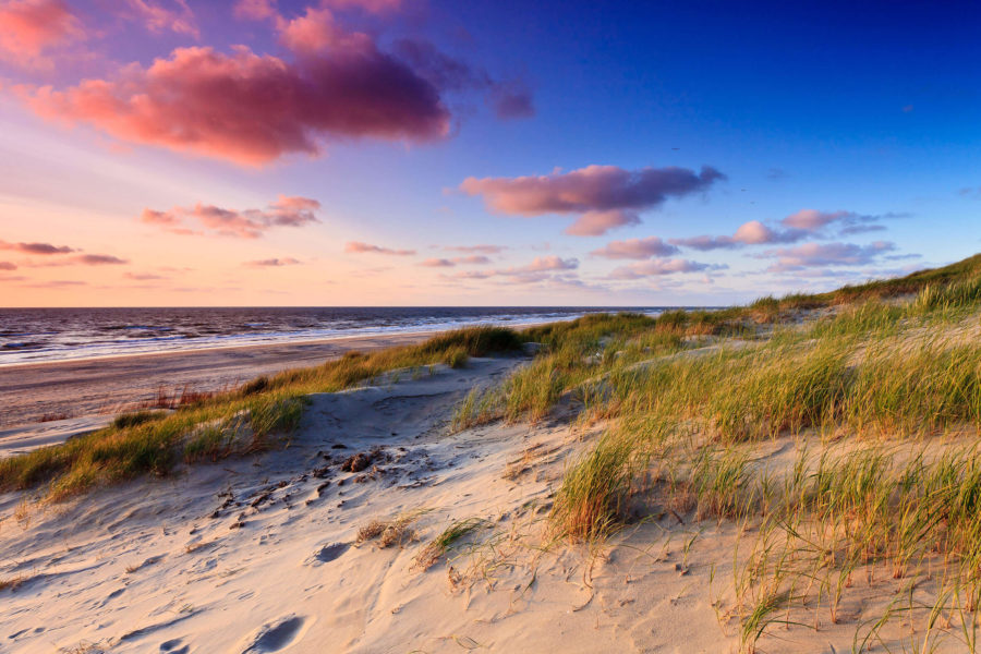 Duinen