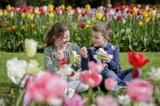 Kinderen tussen tulpenbedden in De Keukenhof