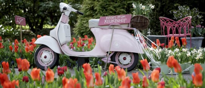 Scooter tussen de tulpen in de Keukenhof