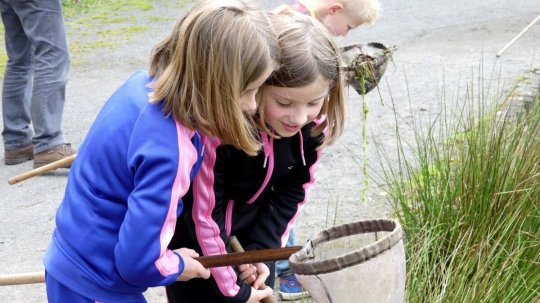 Kinderen bestuderen visnetje