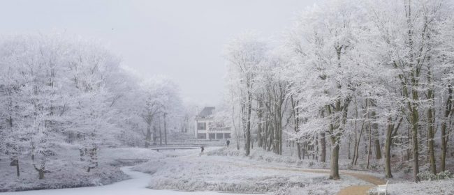 Landgoed Nieuw Leeuwenhorst in de winter