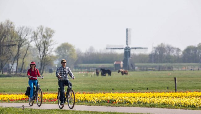 Fietsers door de bollenstreek