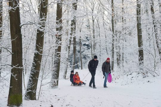 Familie met kinderen op slee in besneeuwd bos