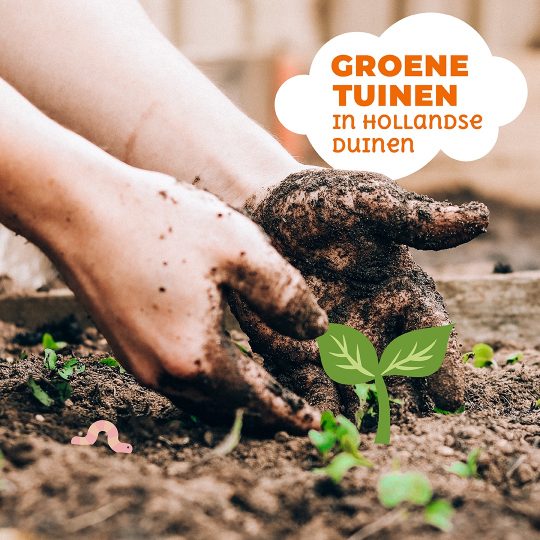 Groene Tuinen