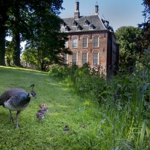 kasteel
