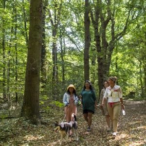 wandelen