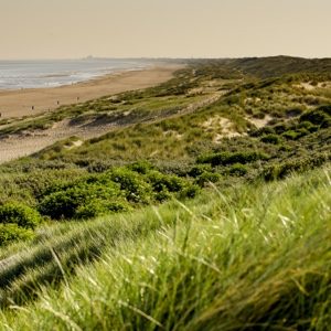 zeestrand