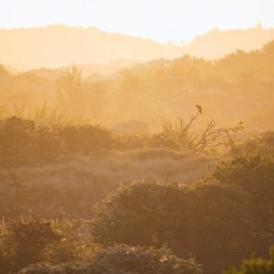 zonsopgang